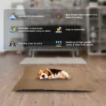 SITSNOOZE Dog bed Ultra Soft Polyester Filled Round shape Pet bed Made from Fleece So highly, Machine Washable Cozy Place for your Furry Friend , Size -Small, Color Beige