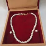 JAYA VISION ENTERPRISES Single Line Real Pearl Necklace