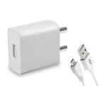 VIZIO 2.4 AMP CHARGER WITH USB CABLE