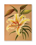 Tamatina Multicolor Gorgeous Flower Nature Modern Art Canvas Painting - 24X18 Inch