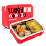 Selvel Stainless Steel Lunch Box | Insulated Lunch Box Keeps Food Hot & Fresh for Long (Red)