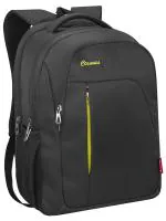 Cosmus Linux Grey P.green 39 litres Laptop Backpack