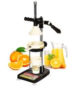 Dymon ITALIAN Hand Press Manual Juicer With Food grade Material, Patened, Cold Press Technology (US-1001)