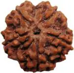 Shivoham Wooden 5 Mukhi Rudraksha