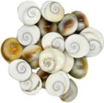 DVM Handmade Pooja Faynci Festive Decor & Gifting