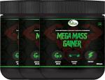 Inlazer Mass Gainer High Protein_ Weight Gain Powder/ Protein Supplement/ Weight Gainer Weight Gainers/Mass Gainers (300 g, No Flavour)