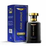 Park Avenue Perfume for Men, Harmony 100ml | Eau De Parfum | Premium, Long Lasting, Intense Fragrance Spray | Suitable for every occasion | Ideal Valentines Day Gift