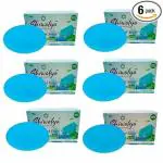 SHIWALYA Natural Cool Mint Soap || Handmade Bathing Soap || Herbal Soft & Radiant Skin || Suitable for All Skin Types (Pack of 4)