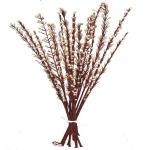 CRAFTWAFT RED MOTI STICK Multicolor Dried Sticks Artificial Flower (2.6 inch, Pack of 10, Flower Bunch)