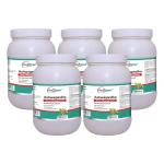 Way2Herbal Ashwagandha Capsules 700 Capsules (Pack of 5)