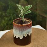 ARTYSTA BEAUTIFYING LIVES Brown Ceramic Chocolate Honey Dip Painted Flower Pots for Garden