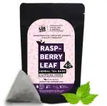 TheTeaTrove Organic Red Raspberry Leaf Tea Bags - 40 Pyramid Raspberry leaf tea Bag