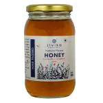 Jivika Forest Honey 500gms