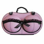 Clixera Travel Accessories Women's Storage Bag for Underwear Clothes Lingerie Bra Organizer Cosmetic Pouch Suitcase Case,Great for Traveling and organizing Your Wardrobe and Baggage