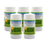 Herbal Hills Wheatgrass 60 Tablets (Pack of 5)