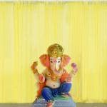 SpecialYou.in Ganesh Chaturthi Decoration Items with Yellow sheer net curtain for Haldi, Wedding, Ganpati decoration kit pack of 3 Items