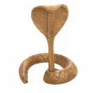 Idol Collections Gold Brass Sheshnag, 6 X 4.5 4 Inches