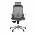 TRUST FURNITURE High Back Ergonomic Chair for Office & Home Glass with Nylon Back with Korean Mesh, Rhino Multi-Position Lock with Seat Slider-A13