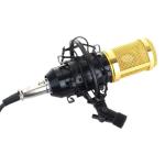 Kh hayden Broadcasting and Recording Microphone with USB Sound Card for Personal Computer