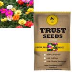 Trustbasket Multicolor Portulaca Mixed Flowers Seeds (1)
