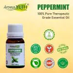 AromaYuth 100% Pure Peppermint Essential Oil (25 ml.) AY-043