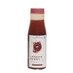 Baidyanath Ayurvedant Ladakh Berry Ready to Drink Juice Buy 1 Get 1 Free(Pack of -2)