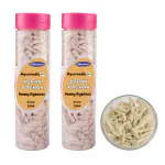 Dilbahars Yummy Digestive Adrak Pachak 100 gm Pack of 2