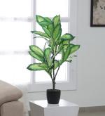 ARICK DECOR Artificial Dieffenbachia Plant with Plastic Pot for Home Dcor Natural Looking Indoor Plant (2.5 Feet, Green/White)