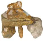 Maalavya Ryuoh Rock - 5 Kg