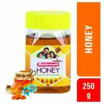 Baidyanath Honey 250 gms (Pack of 2) Pure Madhu, Immunity Booster