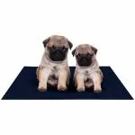 AMORITE Waterproof Pet Mat for Dogs Cats Puppy Durable Washable dog mat Lightweight and Portable Training Pads for Dogs (Size- 70 x 50 Cm, Small, Dark Blue)