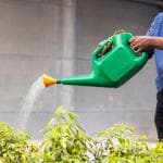 appeasy 5L Plastic Green Indoor Outdoor Watering Can with Sprayer for Plants/Garden