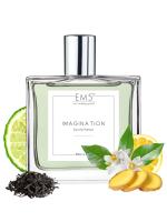EM5 Imagination Perfume for Men | Citrus Amber Fresh Spricy Fragrance | Eau de Parfum Spray | Luxury Gift for Him