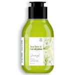 Careberry Tea Tree & Eucalyptus Oil Shower Gel, For Daily Detox, Ayurvedic Ayush Certified, Paraben & Sulphate Free 100ml