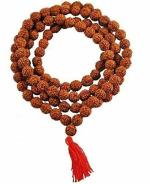 Zyana Pure Large Blowing Shankh