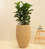 UGAOO Sand Plastic Rib High Planter, 43 X 43 Cm