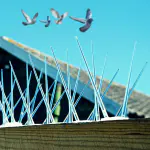 Mr. Right Pigeon Spikes (5 Pcs with Zip Ties) Pigeon Spikes for Balcony, Window AC, Split AC (Polycarbonate)