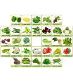 Flare Seeds 45 Variety of Vegetables, Fruits and Flower Mix Combo
