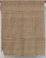 ANANYASTORE.COM Pure Handwoven Muga Ghisa Silk Shawl