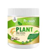 Pro360 Plant Protein 100% Vegan Chocolate Flavoured Health Supplement Protein Powder 400 g