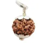 Feel Touch Mart 1 Mukhi Nepali Gol Dana Rudraksha Natural Ek Mukhi Gol Dana Nepali Rudraksha Original Certified Premium One Face Round Rudraksha With Pendant Energized Pure Real Genuine 1 Mukhi Nepali Gol Dana Rudraksha Beads For Men & Women By