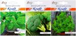Kraft Seeds Broccoli,Oregano Herb and Basil Seeds (Pack of 3)