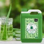 B&B BLISS & BLUSH Neem With Tulsi & Amla Shampoo Herbal Hair Wash Shampoo 1 ltr