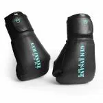 GYM INSANE Boxing Gloves Adult Punching Gloves for Training & Kickboxing Fight Gloves Men & Women