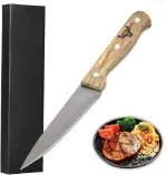 Shruthi Cuchillo Mango Plastico Professional 5