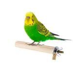 Western Era Perch Stand Bird Toy (Small Birds) (4 Inch)