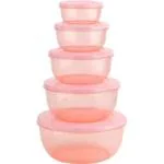 SHOPOBOX Containers with Lids Refrigerator Freshness Preservation Storage Box Picnic Camping Food Home Storage Containers Set 5 Pcs, Container, Camping Food Container,
