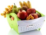 Triones Plastic Fruit Basket 500 ml