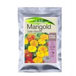 SENECIO Marigold Safari Mix Seeds - Pack of 30 Seeds
