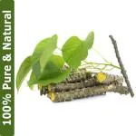 Dirghaanshi Dried Neem Giloy Stick, Giloy Stem, Tinospora Cordifolia Stick, Guduchi Stems (Pack of 250gm)